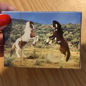 PLAYING CARDS. Beautiful Wild horses displayed on plastic cards.
